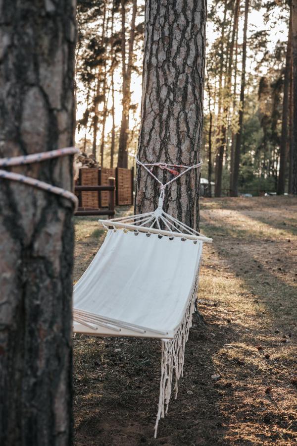 Forest House Casa vacanze